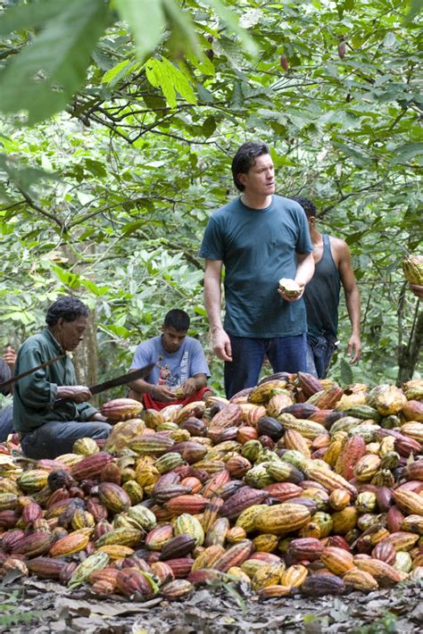 Willie S Cacao Adventures In Chocolate Great British Chefs