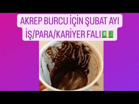 AKREP BURCU İÇİN ŞUBAT AYI İŞ PARA KARİYER FALI akrepburcu kahvefalı