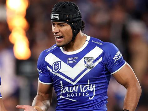 bulldogs canterbury bulldogs nrl team  courier mail
