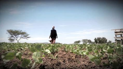 Hunger & Climate Change | Canadian Foodgrains Bank