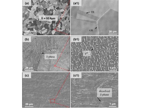 Sem Micrograph Of The Microstructures A And A1 D Free Download Scientific Diagram