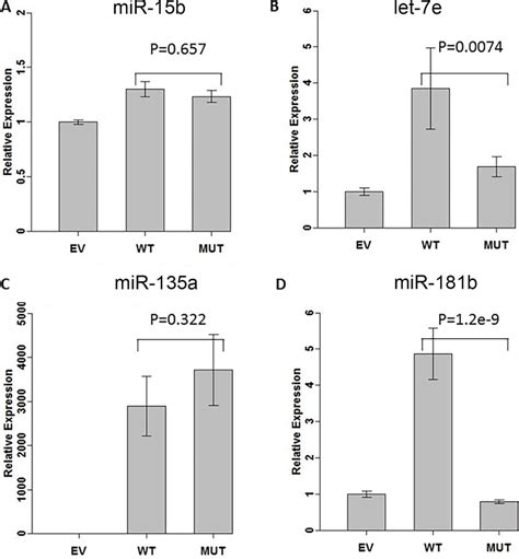 Effect Of Variants On Mirna Expressions We Measured Mirna Expression Download Scientific