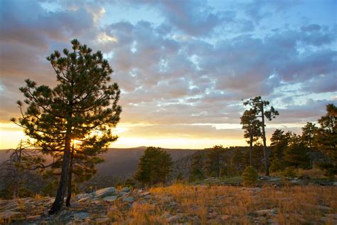 Coconino National Forest - American Hiking Society