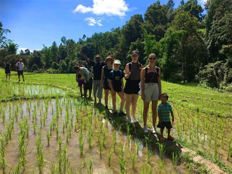 Chiang Mai Tribu Karen Y Cascadas Dobles Excursi N Privada De Un D A