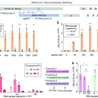 Establishment Of CDetection V2 Platform A Schematic Diagram Of The