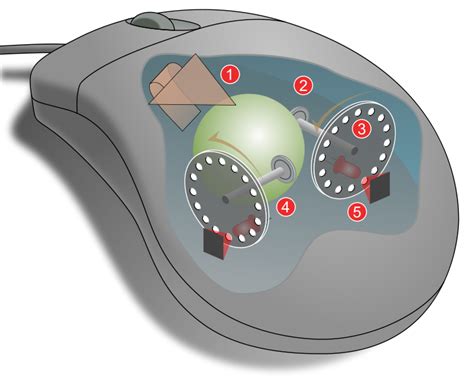 El Mouse: Clasificación del Mouse