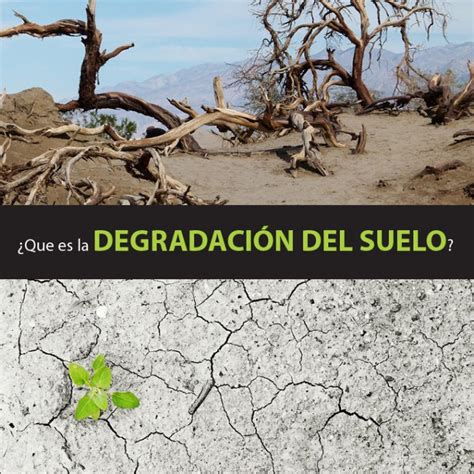 Que Es La Degradacion Del Suelo Causas Y Consecuencias Ecologia Images