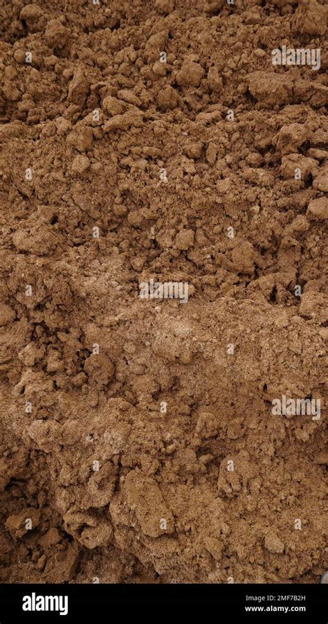 closeup  macro view  red dirt  mud  pile soil  agriculture