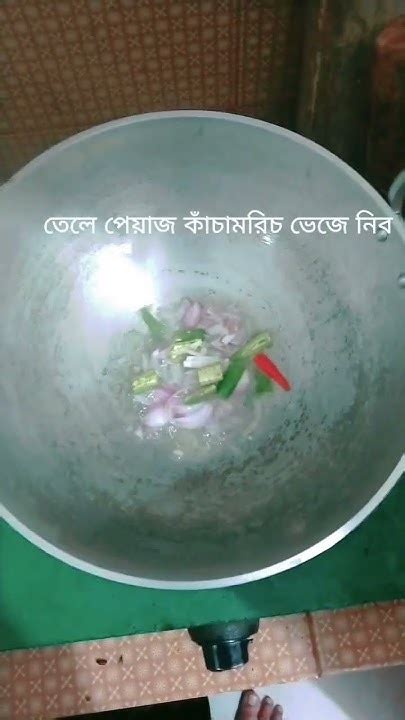 সিমআলু আর টমেটো দিয়ে মৃগেল মাছের তরকারি Youtube