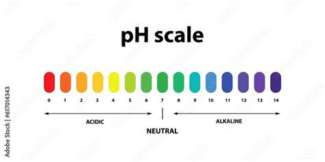 Ph scale chart indicator diagram value, alkaline, neutral, acidic solution Stock Vector | Adobe ...