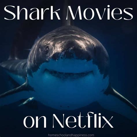 4 Best Shark Movies on Netflix To Watch In 2023