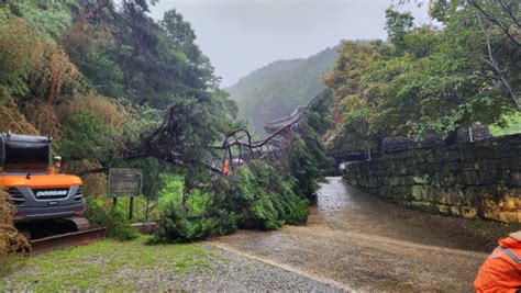 새벽 폭우에 산사태 속출···열차 탈선하고 주택 매몰 네이트 뉴스