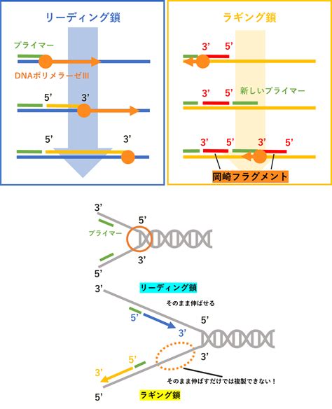 U Are Biomedicalist基礎知識