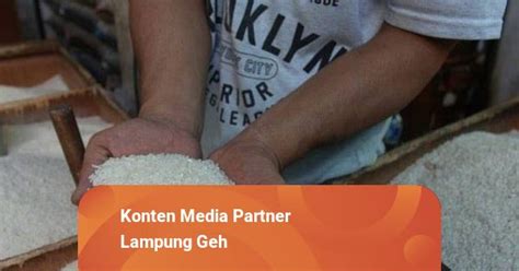 Harga Beras Di Lampung Naik KPPU Temukan Ada Distributor Cari