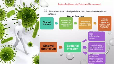 Host Microbial Interaction In Periodontal Disease Ppt