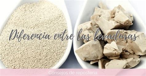 Qué diferencia hay entre las levaduras Levadura Recetas con