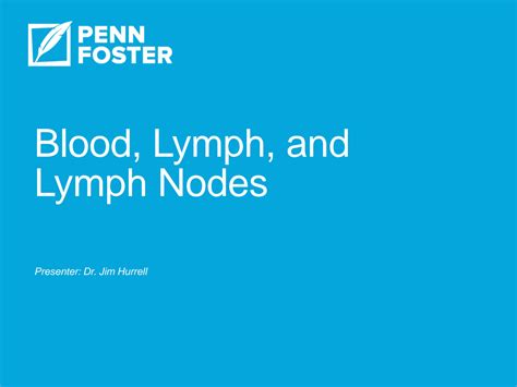 Solution Chapter Blood Lymph And Lymph Nodes Studypool