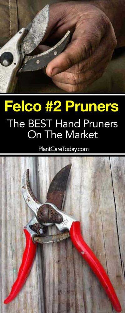 Why Felco 2 Pruners Are The Best Hand Pruners On The Market Pruners