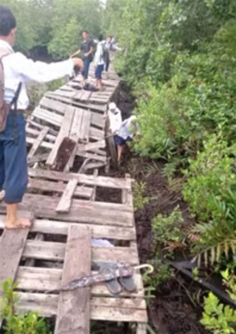 Jembatan Di Parit Rembayan Surrya Disebut Jembatan Shiratal Mustaqim