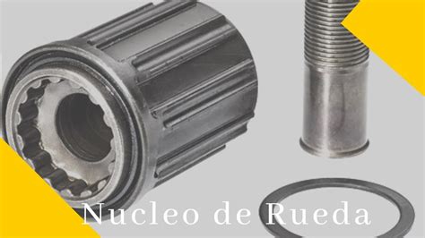 Tipos De Nucleos Mtb Atelier Yuwa Ciao Jp