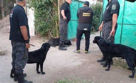 Bel N De Escobar Desbaratan Un Bunker De Drogas Y Detienen A Tres