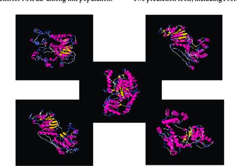 The Five Pnpla3 Protein Models With A Three Dimensional Structure