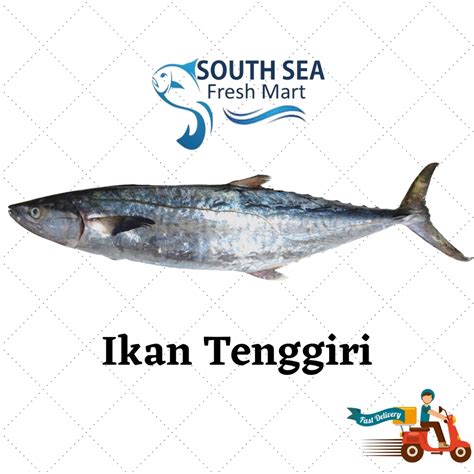 Ikan Tenggiri Fresh Whole 1kg 1 8kg Shopee Malaysia