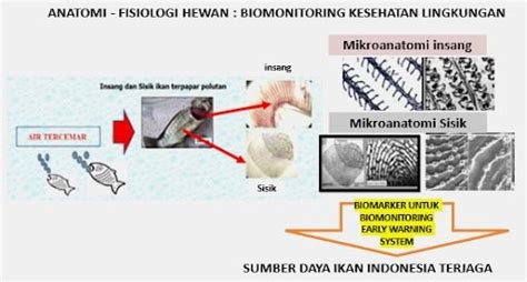 Guru Besar Its Ungkap Strategi Pengelolaan Sumber Daya Ikan