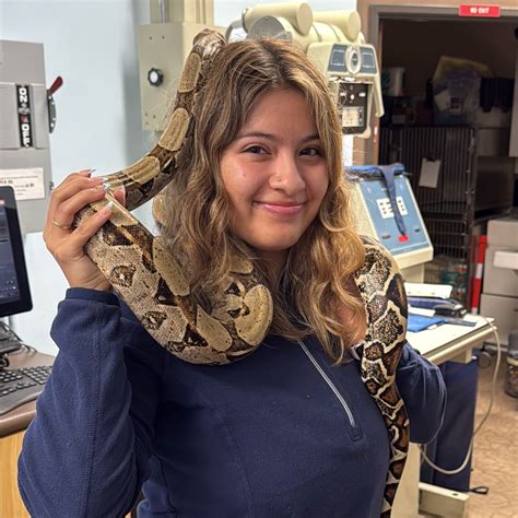 Summer Safety for Exotic Pets | moorparkvet.com