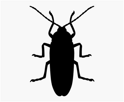 Insect Silhouette Png Transparent Png Transparent Png Image Pngitem