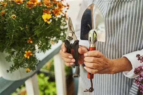 The Growing Trend Of Urban Terrace Gardening In India For Healthy