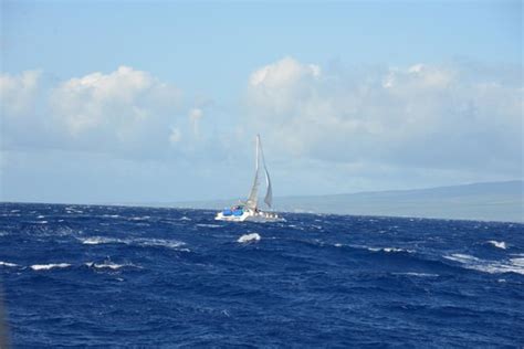 The Triology 6 from Triology 1 - Picture of Trilogy Excursions, Maui - Tripadvisor