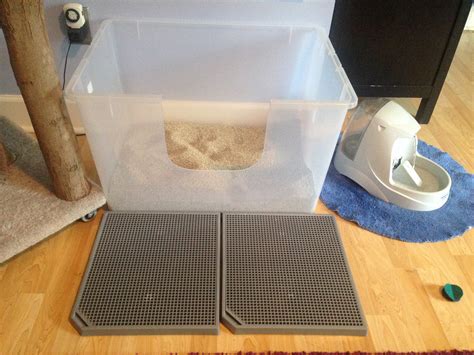Litter boxes: get the scoop! What kind, how many and where