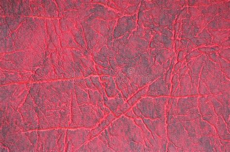 Red Genuine Leather Pattern Background Stock Illustration