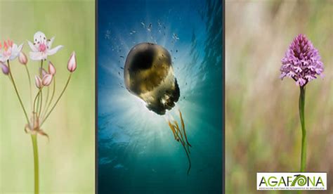 Parque de los Toruños MIRADAS A LA FLORA Y FAUNA Exposición fotográfica