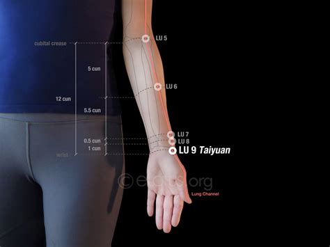 Taiyuan (LU 9) | Master Tung's Acupuncture | eLotus CORE