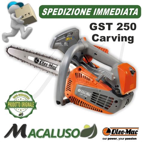 Motosega Oleo Mac Gst Barra Carving Potatura Efco Mtt Gst