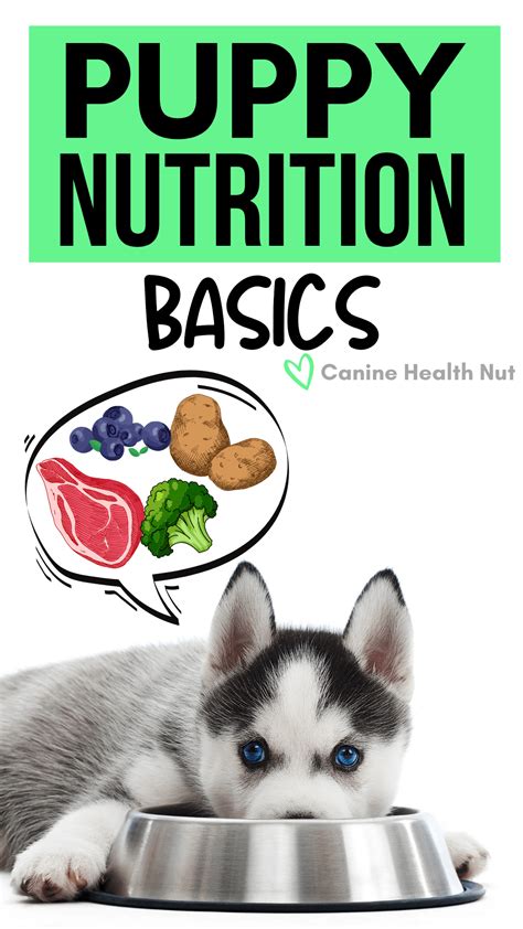 Puppy Nutrition Basics - THE CANINE HEALTH NUT