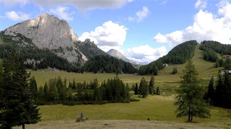 Almweide Wurzeralm Oberösterreich Johann Holzner Flickr