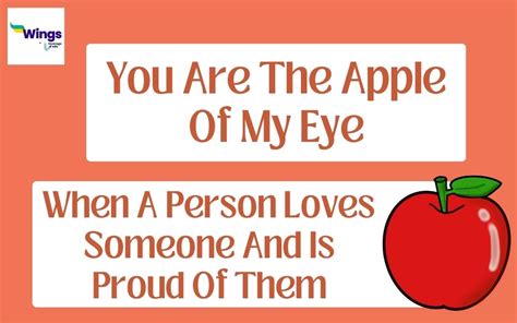 You Are The Apple Of My Eye Meaning Synonyms Examples Leverage Edu