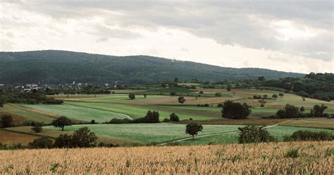 Nachhaltigkeit Als Quelle F R Qualit T Geschmack Und Sinn Slowfood