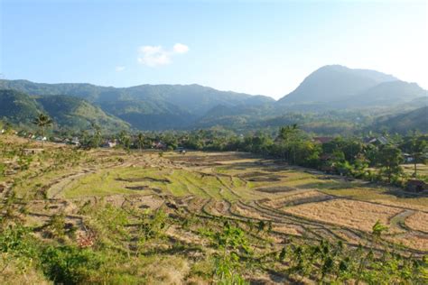 8 Tempat Wisata Brebes Terbaik – Andarabus.com