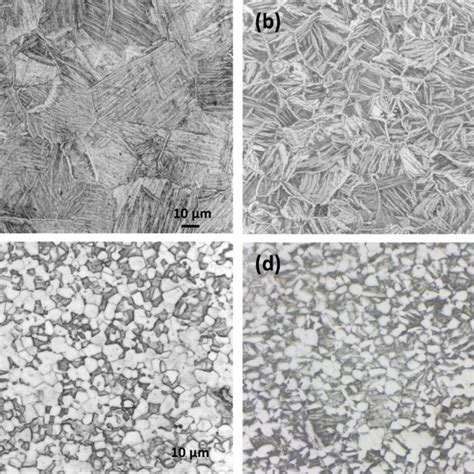 Optical Micrographs Of Sintered Titanium Matrix Composites With TiN