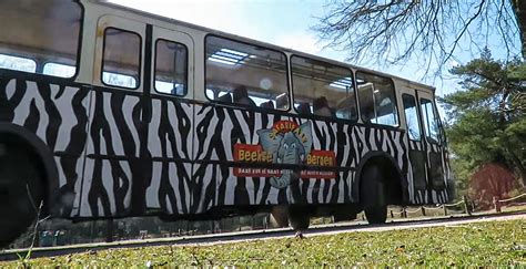 Safaripark Beekse Bergen Stopt Met Bussafari In Zomerseizoen Looopings