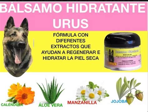 Balsamo Para Perro Urus 60 G Mayoreo 24 Pzas 11908 Meses Sin Interés