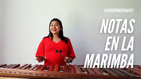 Tutorial Para Principiantes Notas En La Marimba Youtube