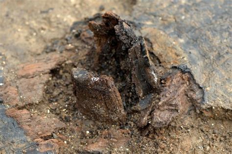 Most Complete Bronze Age Wheel To Date Found At Must Farm Near Peterborough