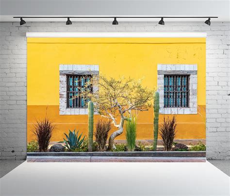 Amazon BELECO 5x3ft Fabric Mexico Old Town Street Backdrop Cactus