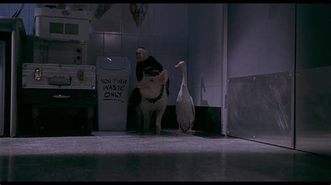 Babe Pig In The City Screencap Fancaps