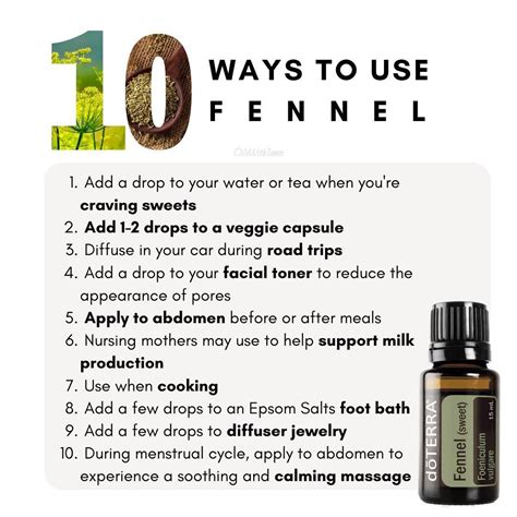 Doterra Fennel Essential Oil Uses Benefits And Diffuser Blends